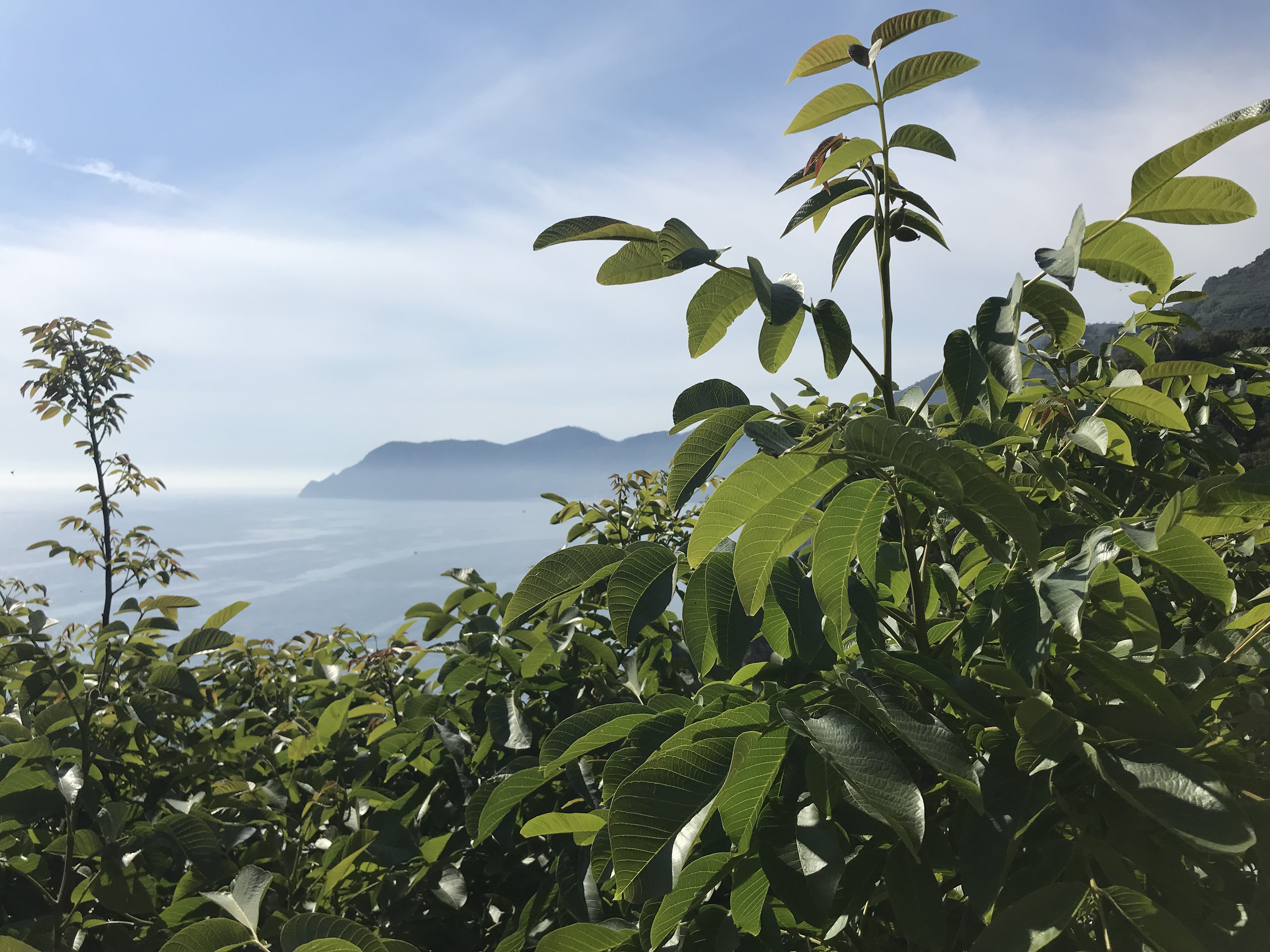 May in Cinque Terre