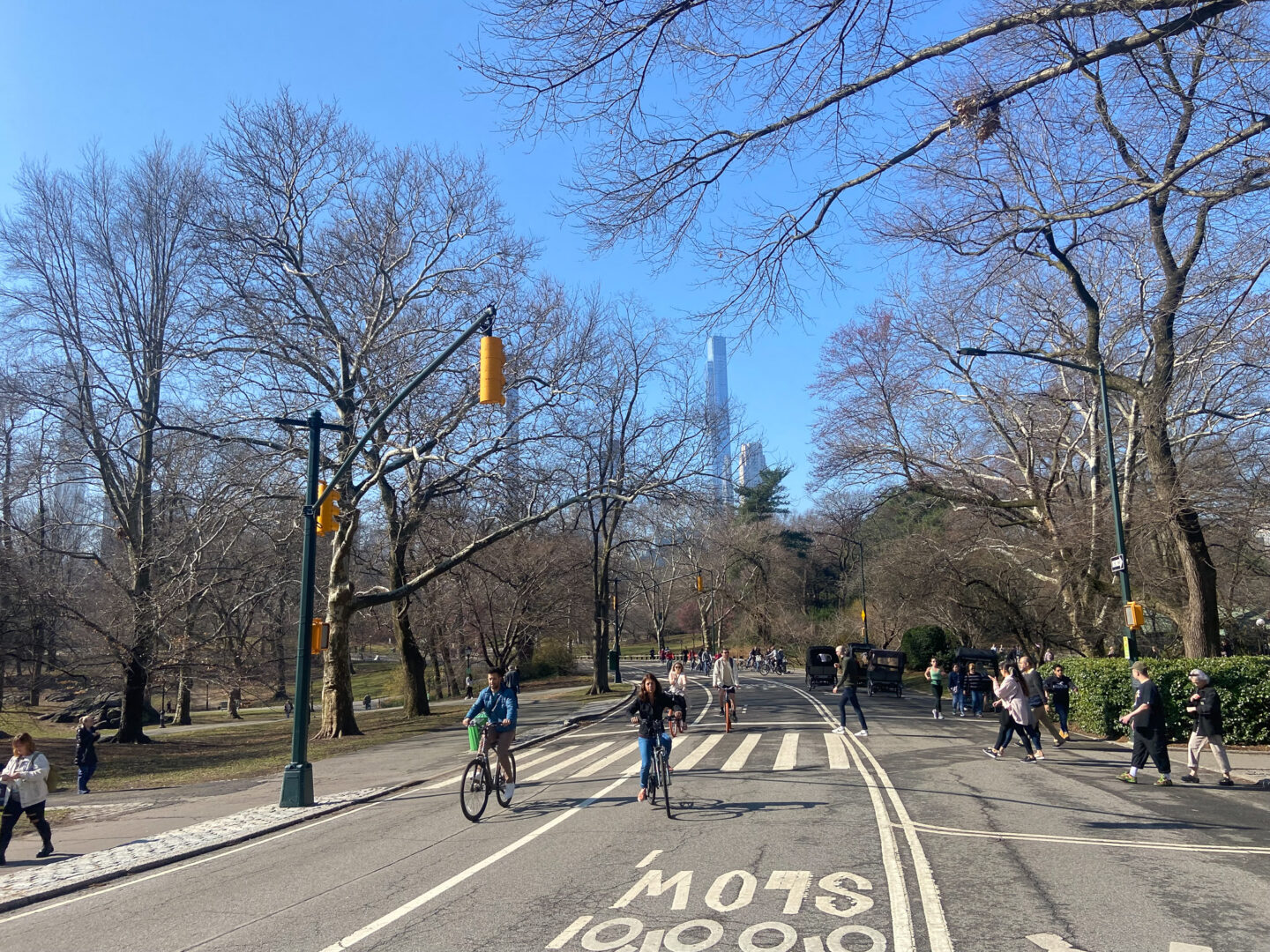 Running Central Park2