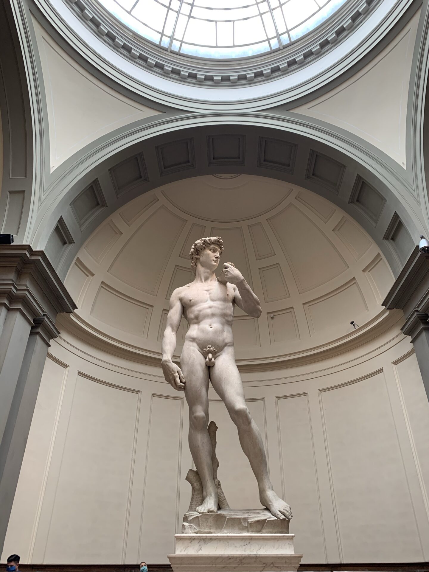 Statue of David