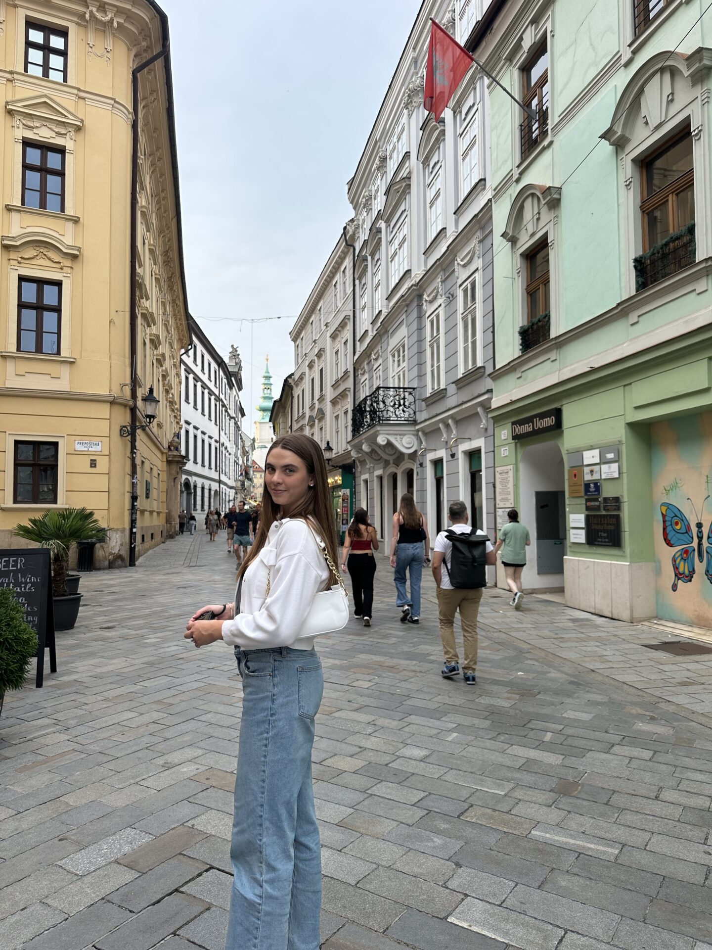 Vienna to Bratislava Vogelle